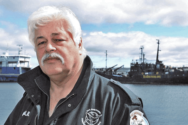 Paul Watson is accused of using his ship to hit an illegal shark
fishing vessel